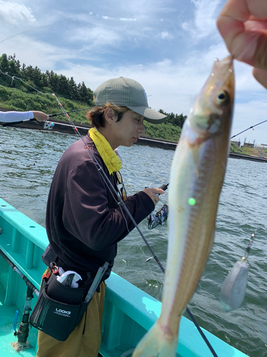 キスの釣果