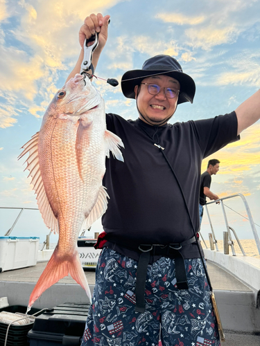 マダイの釣果