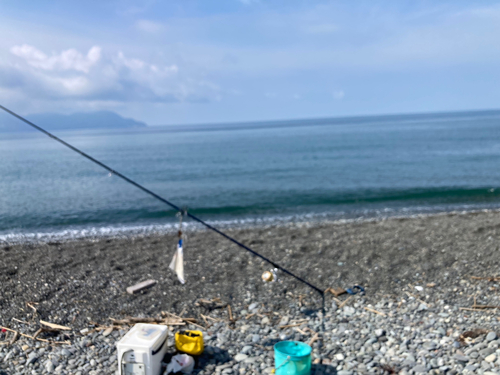 ソウダガツオの釣果