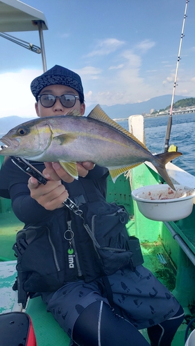 ショゴの釣果