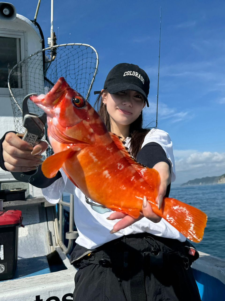 3oさんの釣果 1枚目の画像