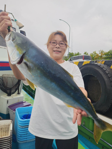 メジロの釣果