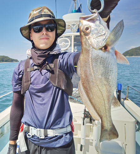 クログチの釣果