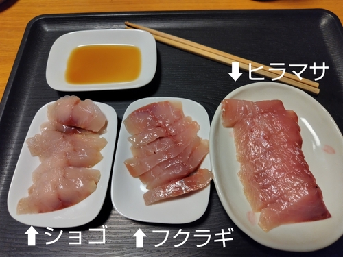 サバの釣果