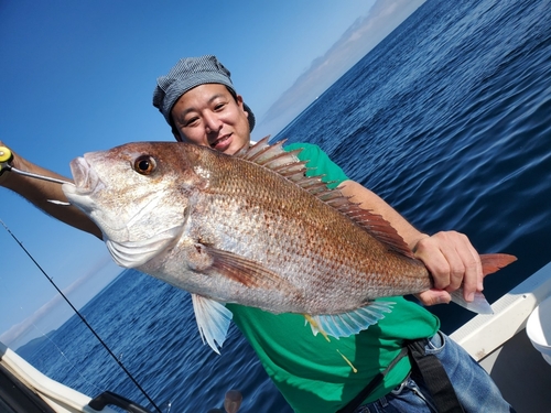 マダイの釣果