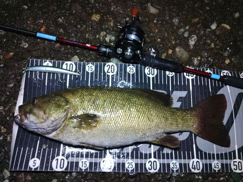 スモールマウスバスの釣果