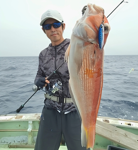 アマダイの釣果