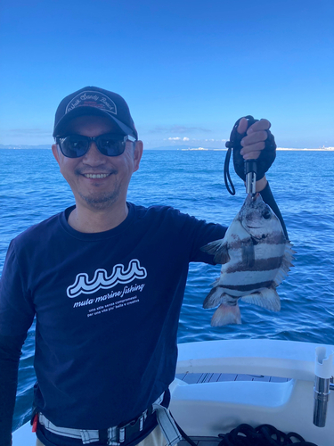 イシダイの釣果