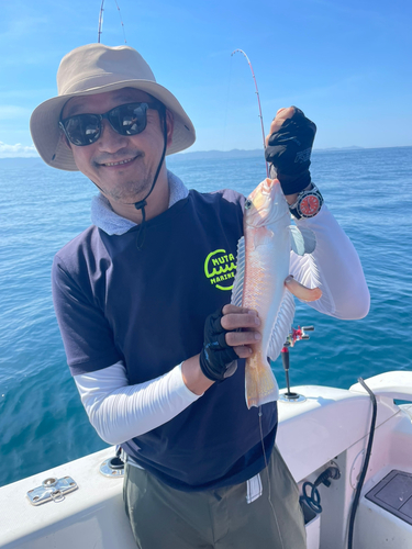 シロアマダイの釣果