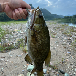 スモールマウスバス