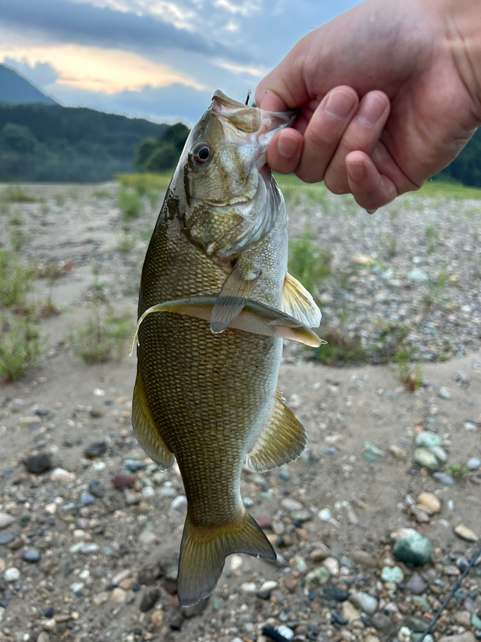 スモールマウスバス