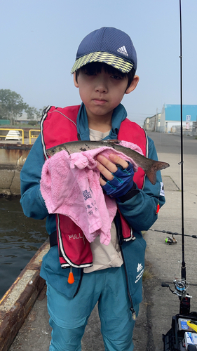 エゾメバルの釣果