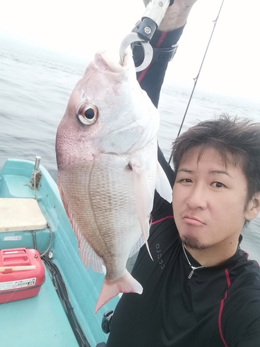 タイの釣果