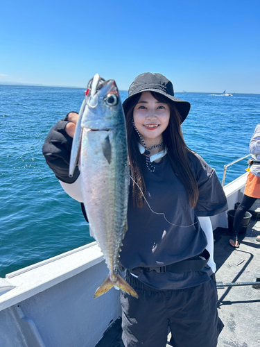 サバの釣果