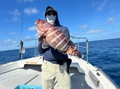 マハタの釣果