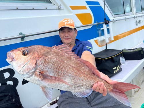 マダイの釣果