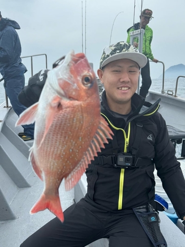 マダイの釣果