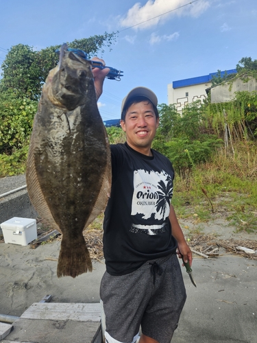 ヒラメの釣果