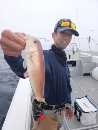 シロアマダイの釣果