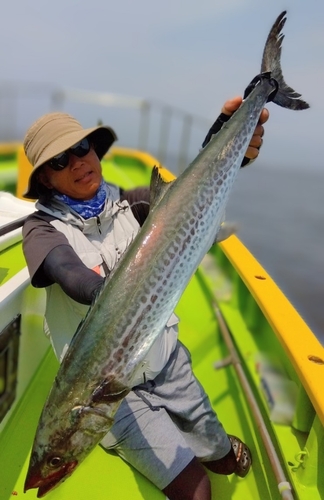 タチウオの釣果