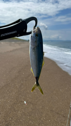 釣果