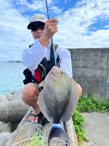 トカジャーの釣果