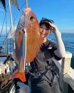 タイの釣果