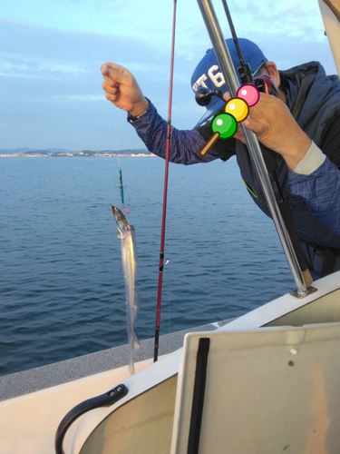 タチウオの釣果