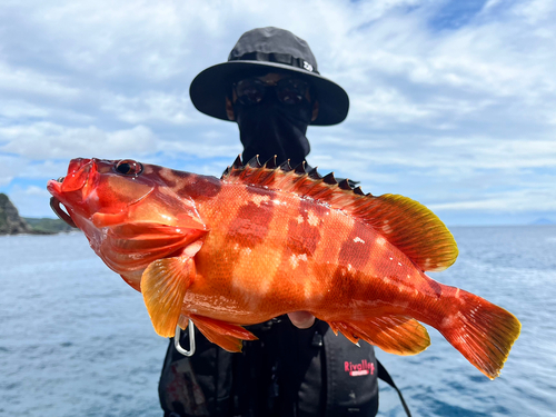 アカハタの釣果