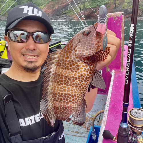 オオモンハタの釣果