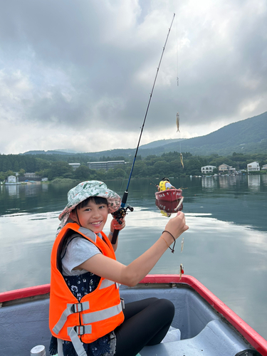 ワカサギの釣果