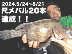 メバルの釣果