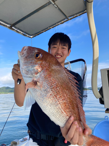 マダイの釣果