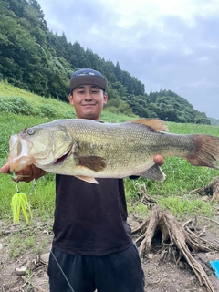 ラージマウスバスの釣果