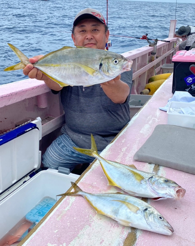 シマアジの釣果