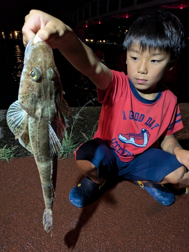 イネゴチの釣果