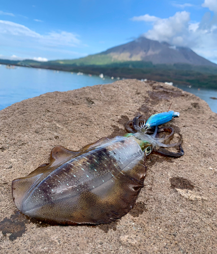 鹿児島湾