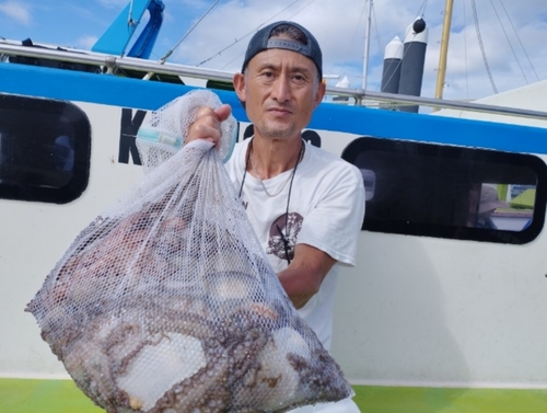 マダコの釣果