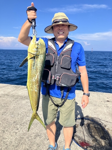 シイラの釣果