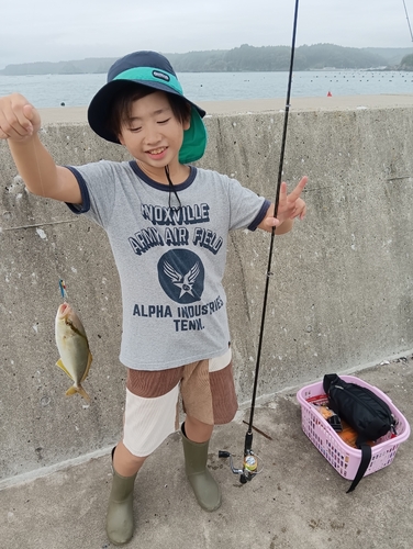 ショゴの釣果