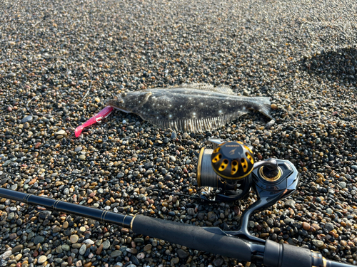 ソゲの釣果