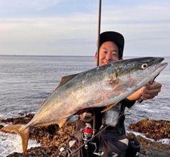 ブリの釣果