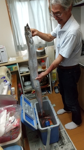 タチウオの釣果