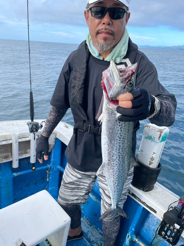 タイの釣果