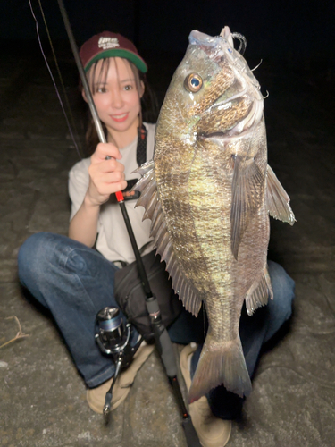 チヌの釣果