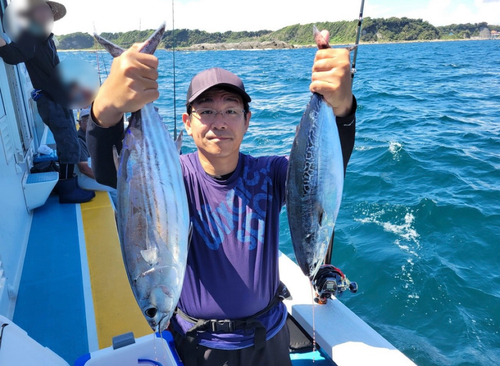 カツオの釣果