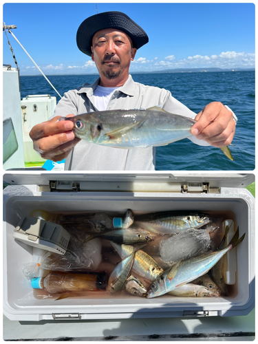 マアジの釣果