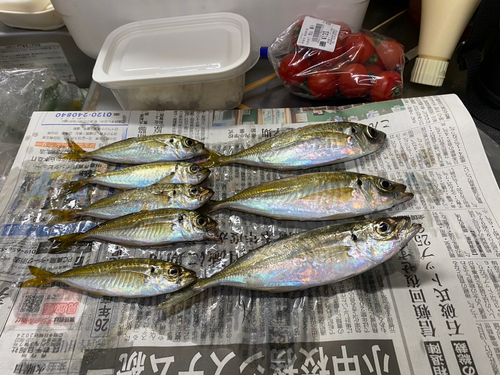 釣果