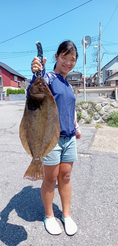 ヒラメの釣果