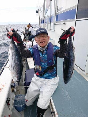 カツオの釣果